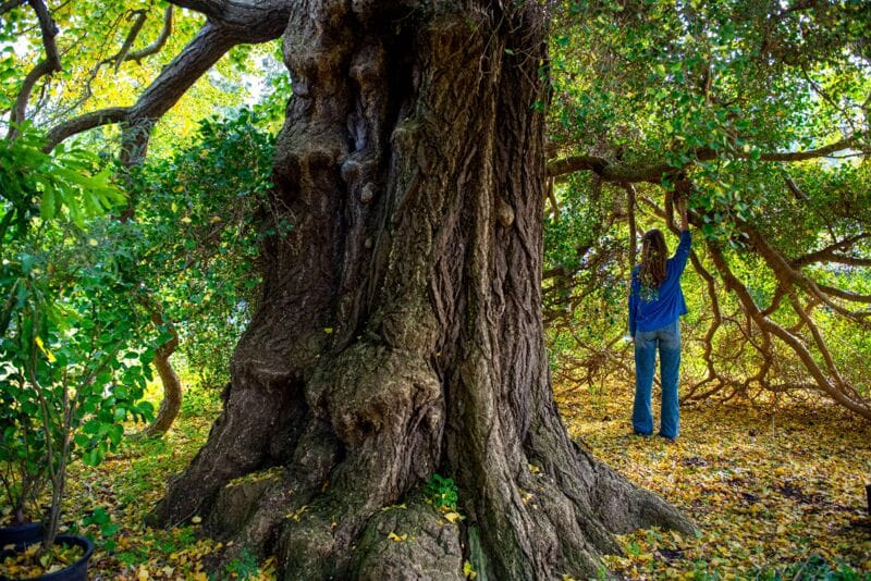 Generieke afbeelding voor image content