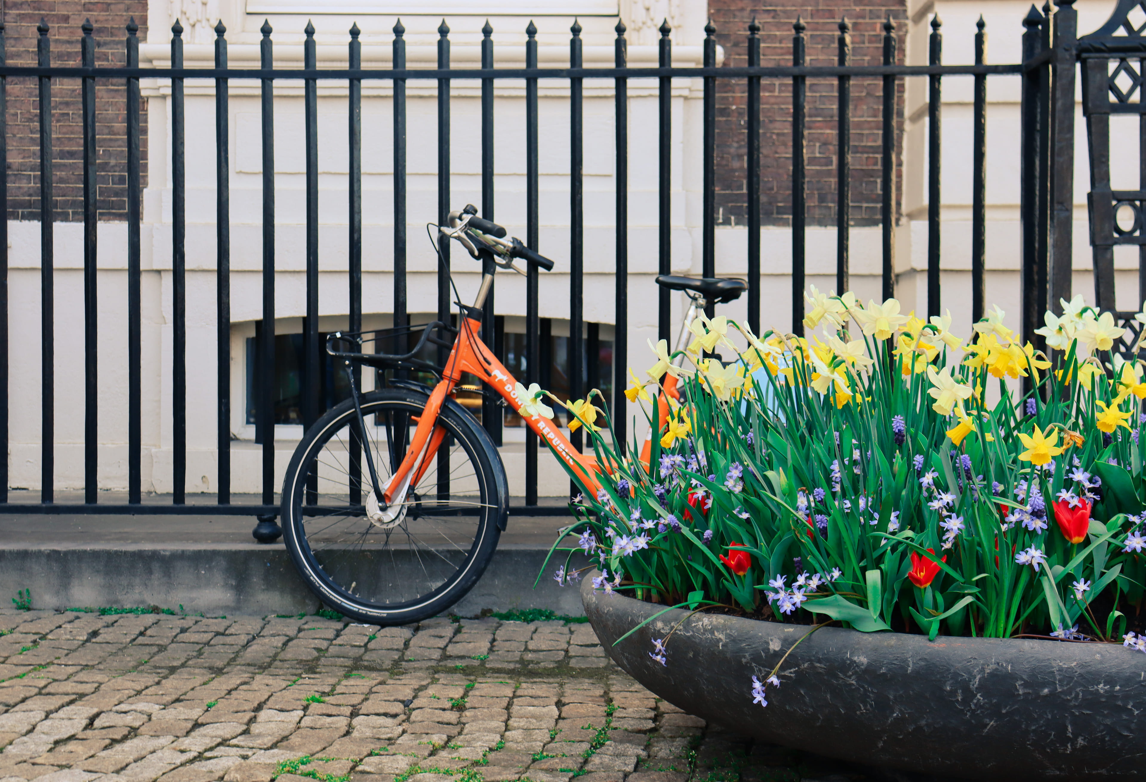 Generieke afbeelding voor image content