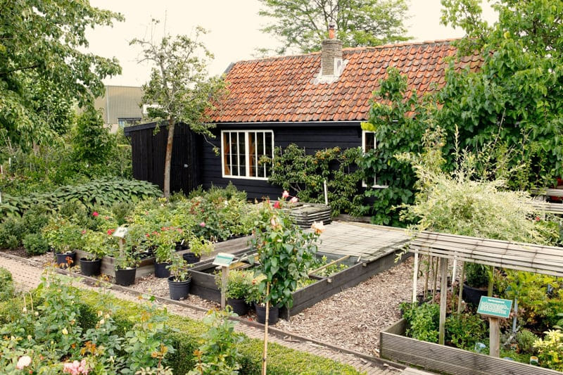 Generieke afbeelding voor image content