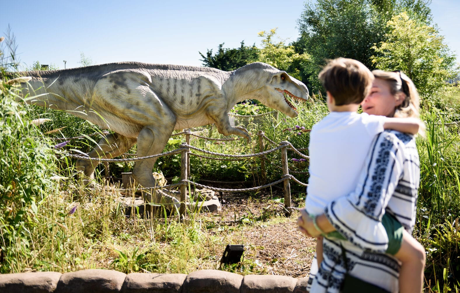 Generieke afbeelding voor image content