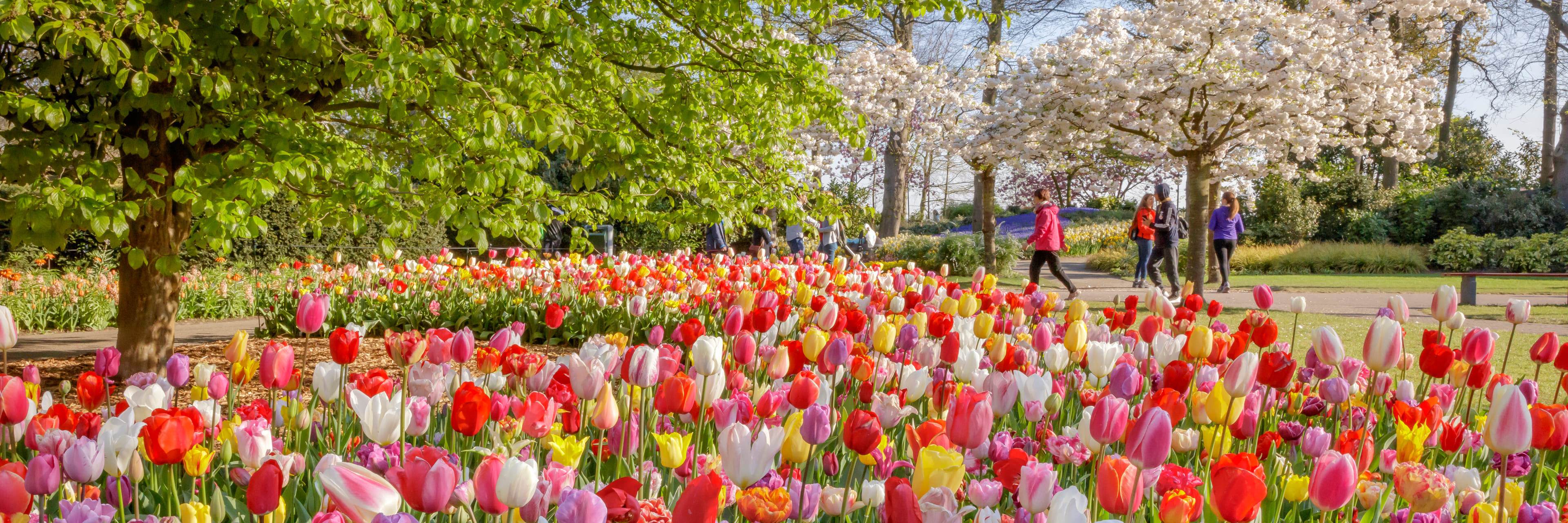 Generieke afbeelding van de achtergrond afbeelding