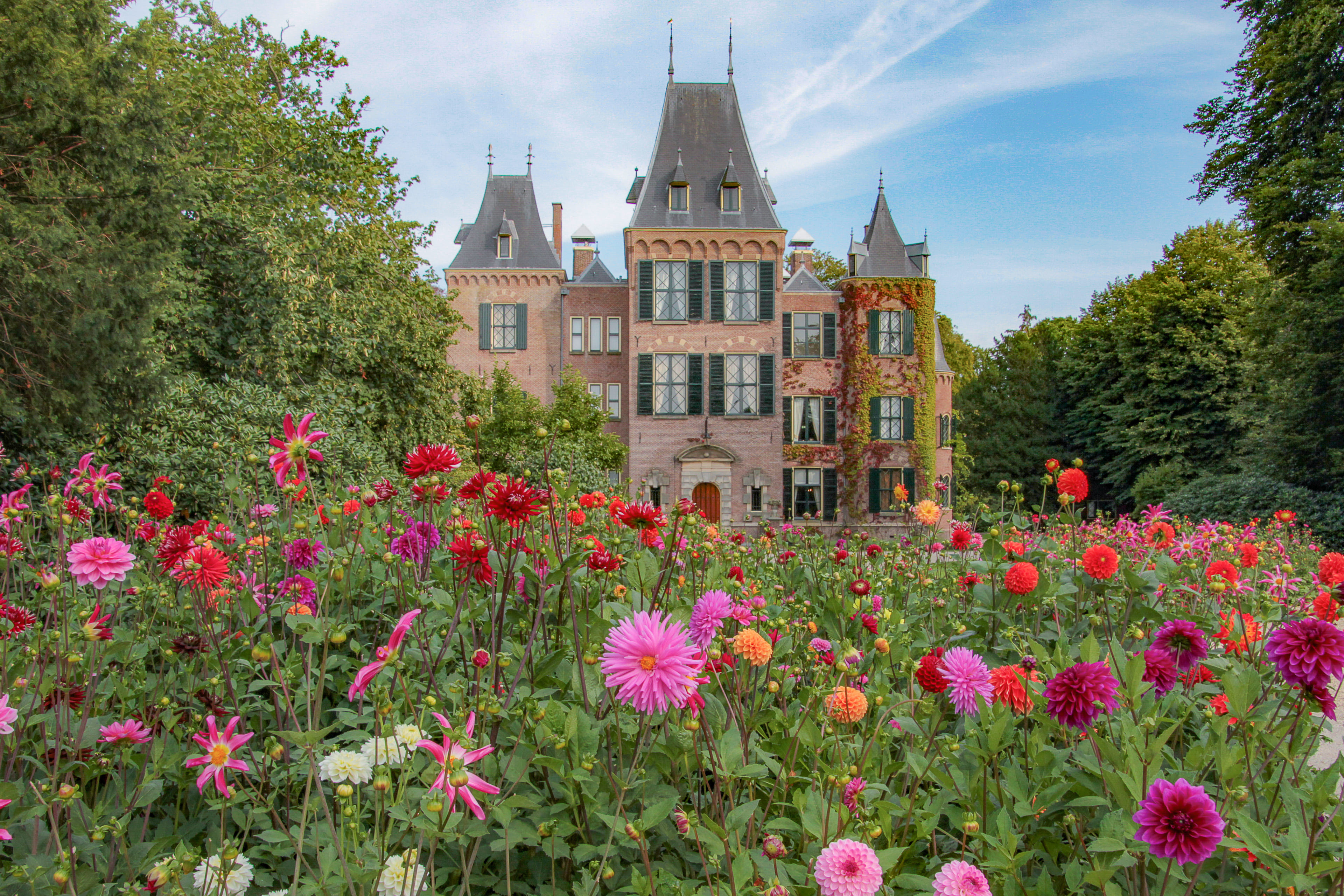 Generieke afbeelding voor image content